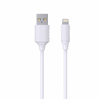 USB Cable Type A to Lightning