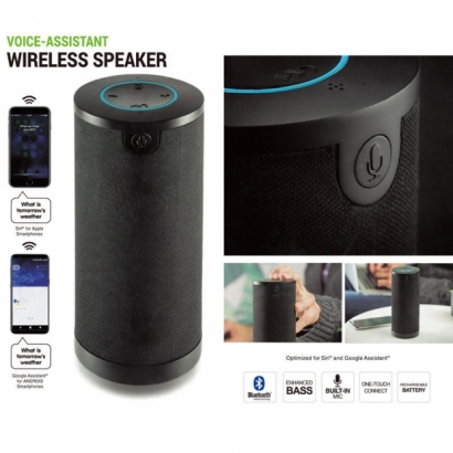 Siri Alexa Smart Speaker